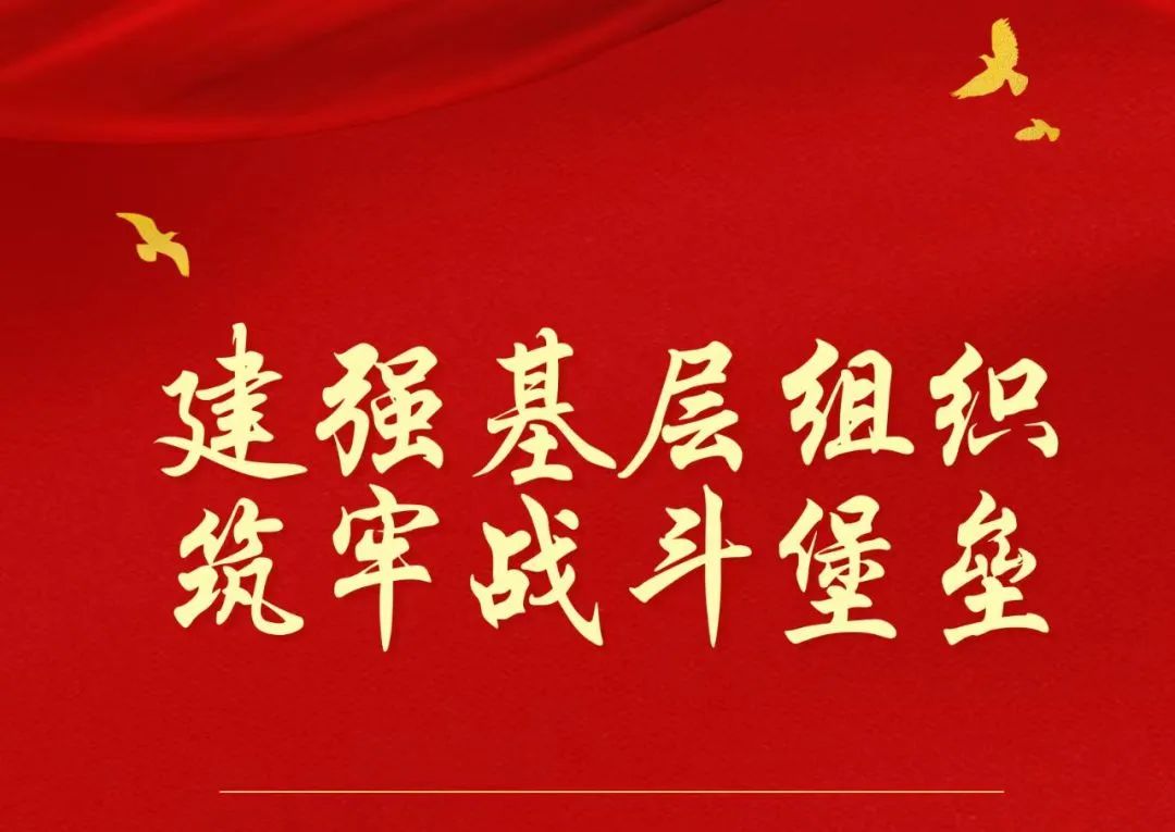 集团召开2024年度支部书记抓党建述职评议会