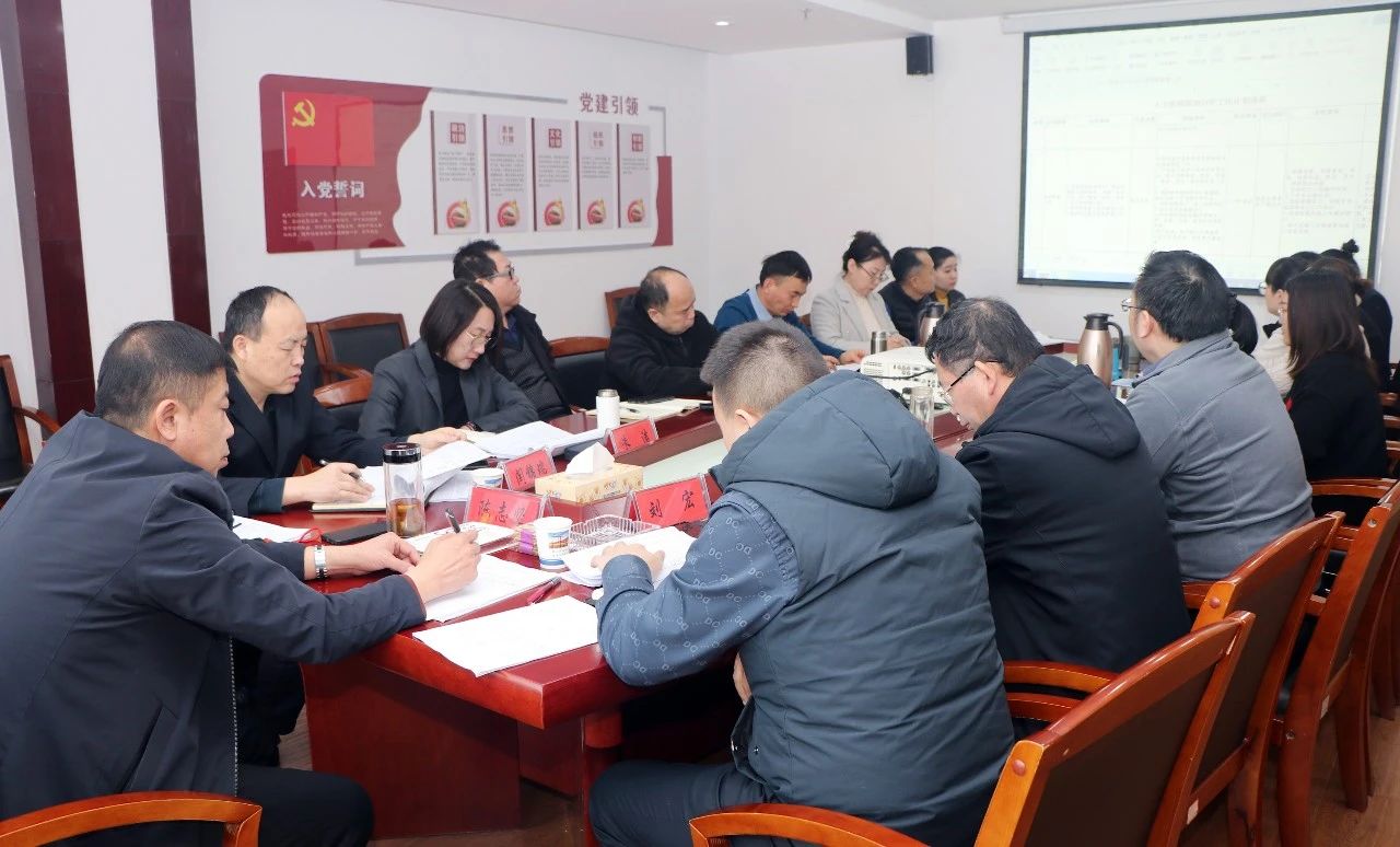 集团召开2024年度“六清单”工作总结汇报会